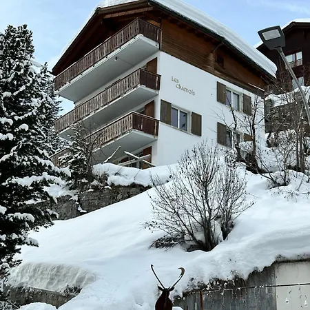 Les Chamois 公寓 *